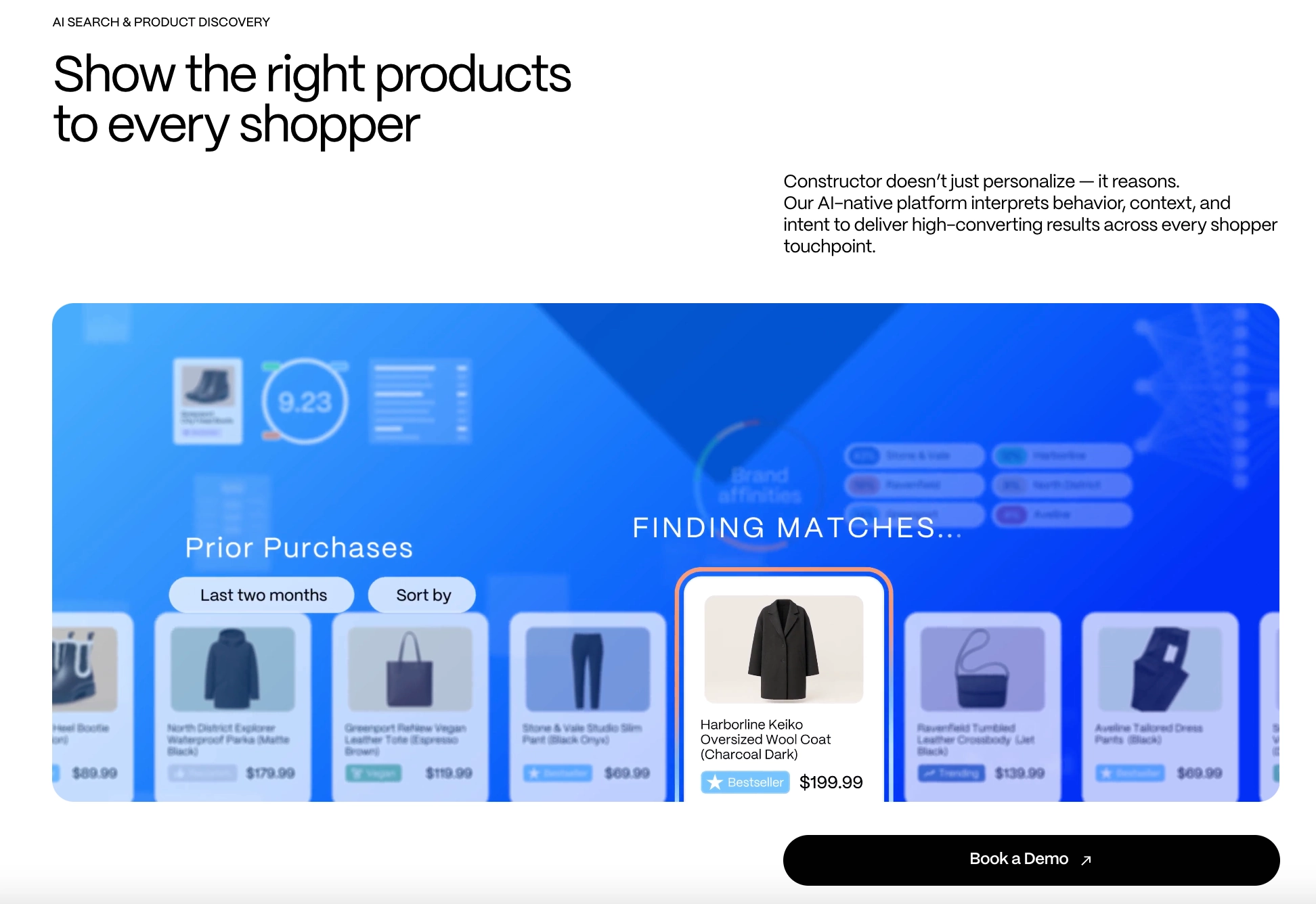 constructor ai product matching demo