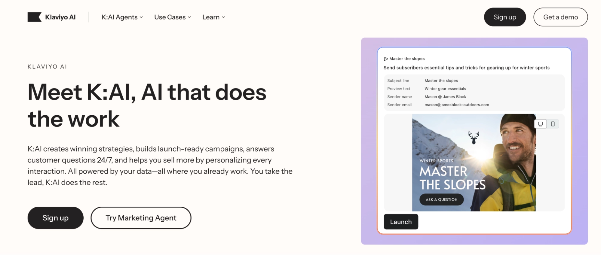 klaviyo ai marketing agent overview