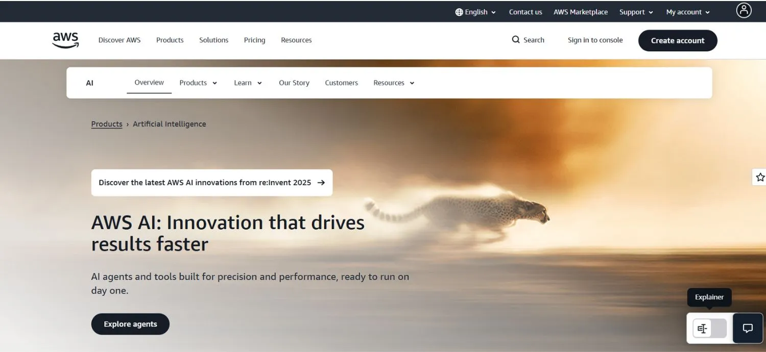 AWS AI