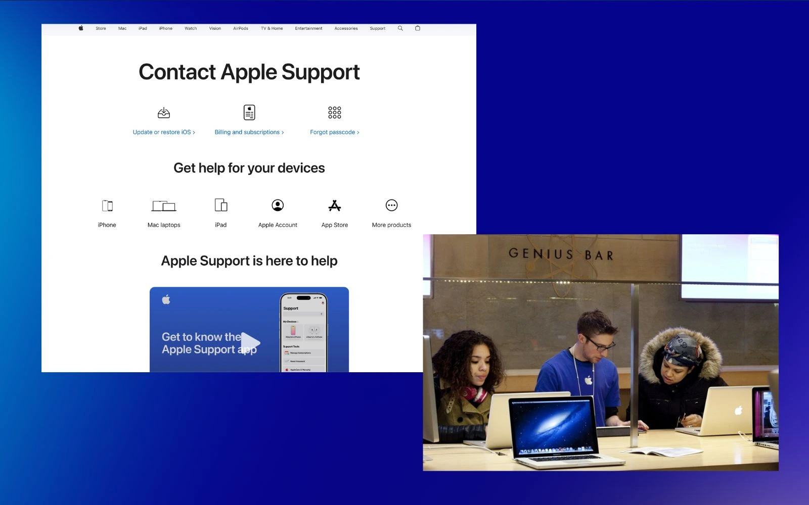 Apple case study