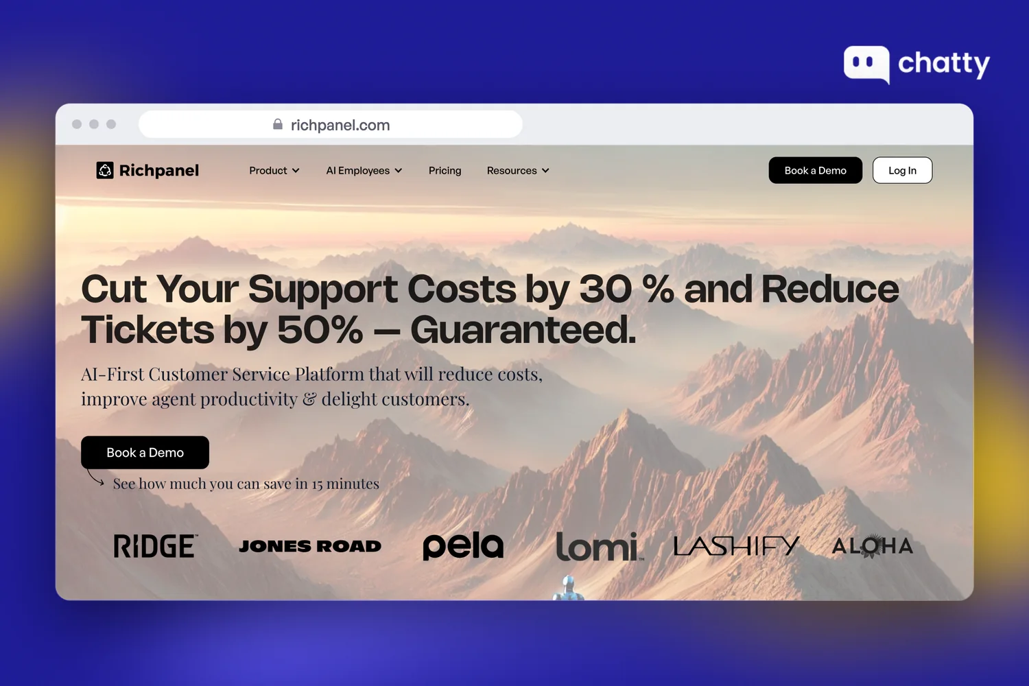 Homepage of Richpanel at richpanel.com, an AI customer support platform for ecommerce